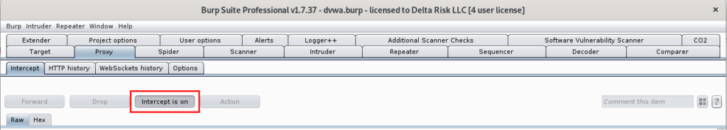 Enabling Intercept for Burp Suite Professional