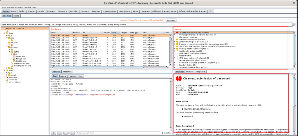 Reviewing Scan Issues for Burp Suite Professional